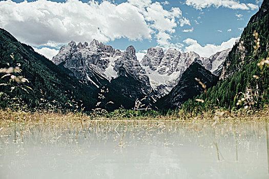 thong ke rong bach kim gio vang