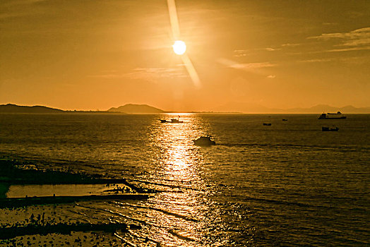 lô bach thu hom nay