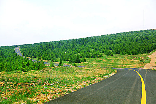 xs vĩnh long