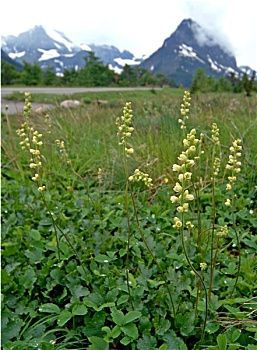 dudoanxosomiennam