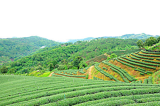 xskt miền bắc