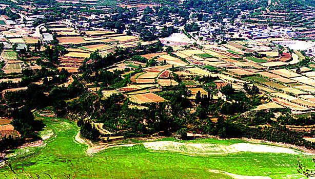 quay thử miền nam