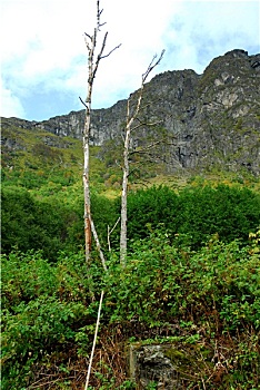lô rơi
