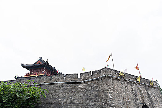 soi cau lo rong