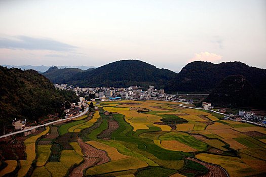 soi cau bach thu de mb