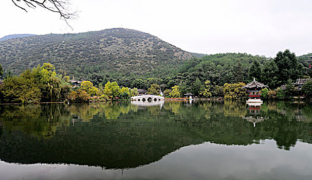lo khung rong bach kim