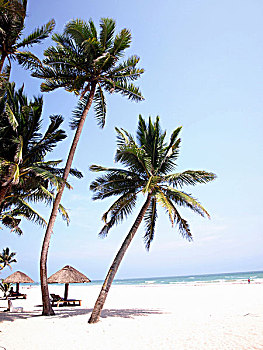 soi cầu bach thu mb