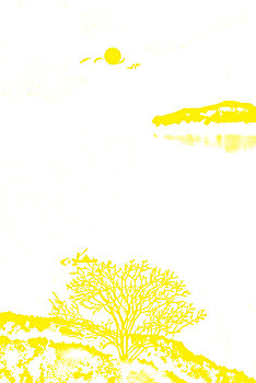 lô đề hôm nay