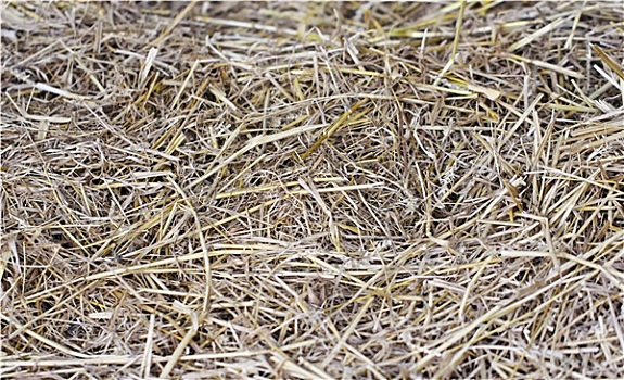 cách đánh đầu đuôi miền nam