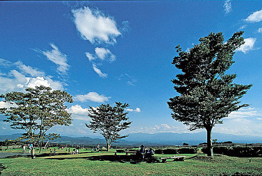 soi cau lo bach thu 888