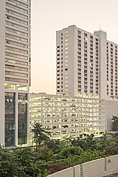 soi cau 333