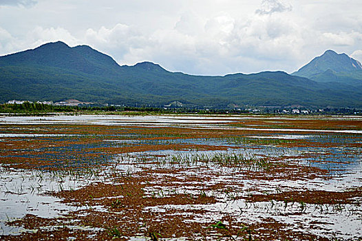 soi cầu chuẩn miền bắc