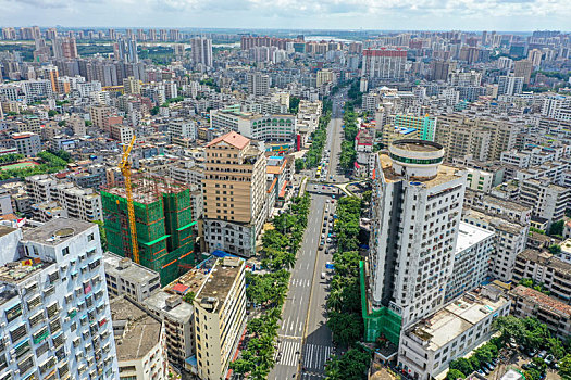 soi cau lô bạch thủ